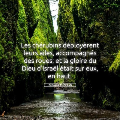 Picture 05 - Ézéchiel 11:22 LSG - Les chérubins déployèrent leurs ailes, - Bible Verse Picture