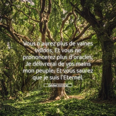 Picture 05 - Ézéchiel 13:23 LSG - Vous n'aurez plus de vaines visions, Et vous ne - Bible Verse Picture