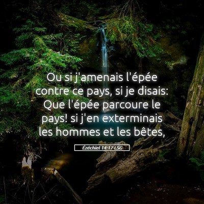 Picture 05 - Ézéchiel 14:17 LSG - Ou si j'amenais l'épée contre ce pays, si je - Bible Verse Picture