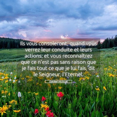 Picture 05 - Ézéchiel 14:23 LSG - Ils vous consoleront, quand vous verrez leur - Bible Verse Picture