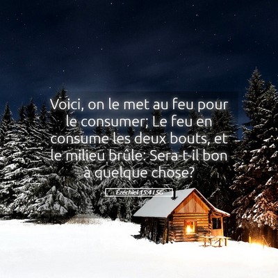 Picture 05 - Ézéchiel 15:4 LSG - Voici, on le met au feu pour le consumer; Le feu - Bible Verse Picture