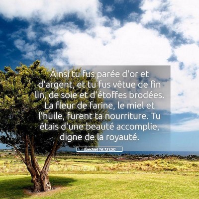 Picture 05 - Ézéchiel 16:13 LSG - Ainsi tu fus parée d'or et d'argent, et tu fus - Bible Verse Picture