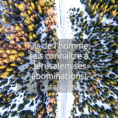 Picture 05 - Ézéchiel 16:2 LSG - Fils de l'homme, fais connaître à Jérusalem - Bible Verse Picture