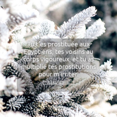 Picture 05 - Ézéchiel 16:26 LSG - Tu t'es prostituée aux Egyptiens, tes voisins au - Bible Verse Picture