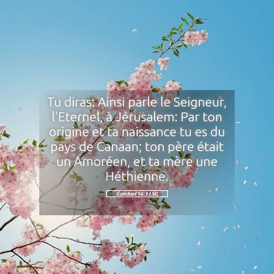 Picture 05 - Ézéchiel 16:3 LSG - Tu diras: Ainsi parle le Seigneur, l'Eternel, à - Bible Verse Picture