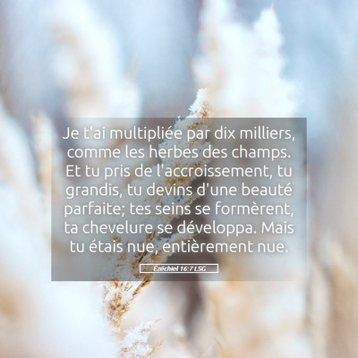 Picture 05 - Ézéchiel 16:7 LSG - Je t'ai multipliée par dix milliers, comme les - Bible Verse Picture
