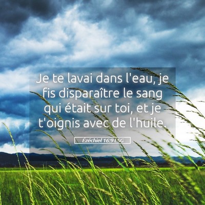 Picture 05 - Ézéchiel 16:9 LSG - Je te lavai dans l'eau, je fis disparaître le - Bible Verse Picture