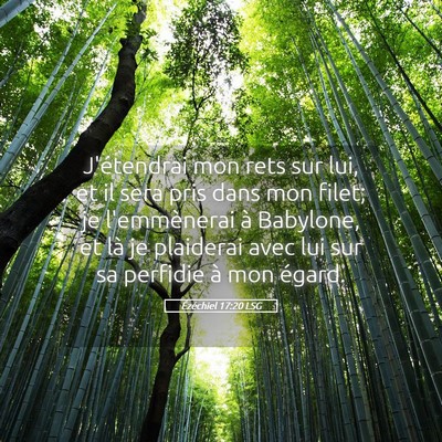 Picture 05 - Ézéchiel 17:20 LSG - J'étendrai mon rets sur lui, et il sera pris - Bible Verse Picture