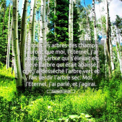 Picture 05 - Ézéchiel 17:24 LSG - Et tous les arbres des champs sauront que moi, - Bible Verse Picture