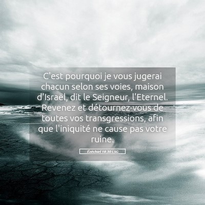 Picture 05 - Ézéchiel 18:30 LSG - C'est pourquoi je vous jugerai chacun selon ses - Bible Verse Picture