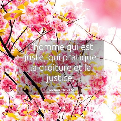 Picture 05 - Ézéchiel 18:5 LSG - L'homme qui est juste, qui pratique la droiture - Bible Verse Picture