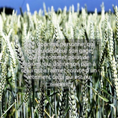 Picture 05 - Ézéchiel 18:7 LSG - qui n'opprime personne, qui rend au débiteur son - Bible Verse Picture