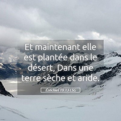 Picture 05 - Ézéchiel 19:13 LSG - Et maintenant elle est plantée dans le désert, - Bible Verse Picture