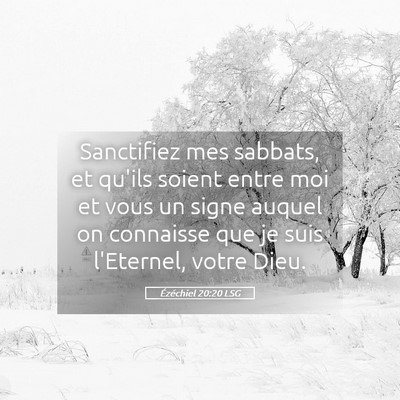 Picture 05 - Ézéchiel 20:20 LSG - Sanctifiez mes sabbats, et qu'ils soient entre - Bible Verse Picture