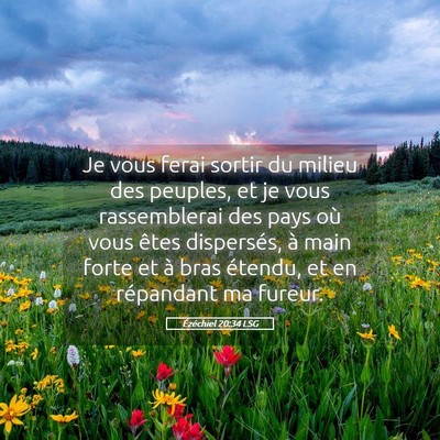 Picture 05 - Ézéchiel 20:34 LSG - Je vous ferai sortir du milieu des peuples, et je - Bible Verse Picture