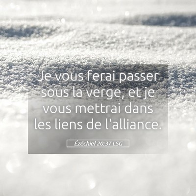 Picture 05 - Ézéchiel 20:37 LSG - Je vous ferai passer sous la verge, et je vous - Bible Verse Picture