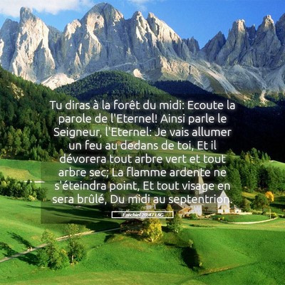 Picture 05 - Ézéchiel 20:47 LSG - Tu diras à la forêt du midi: Ecoute la parole - Bible Verse Picture