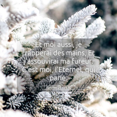 Picture 05 - Ézéchiel 21:17 LSG - Et moi aussi, je frapperai des mains, Et - Bible Verse Picture