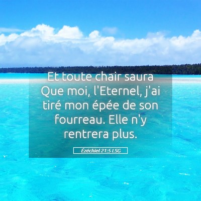Picture 05 - Ézéchiel 21:5 LSG - Et toute chair saura Que moi, l'Eternel, j'ai - Bible Verse Picture