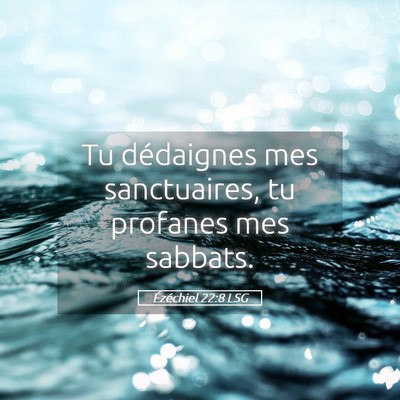 Picture 05 - Ézéchiel 22:8 LSG - Tu dédaignes mes sanctuaires, tu profanes mes - Bible Verse Picture
