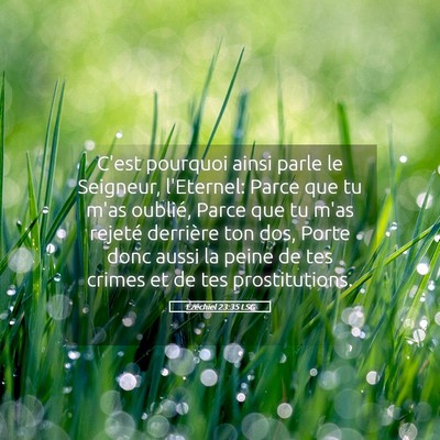Picture 05 - Ézéchiel 23:35 LSG - C'est pourquoi ainsi parle le Seigneur, - Bible Verse Picture