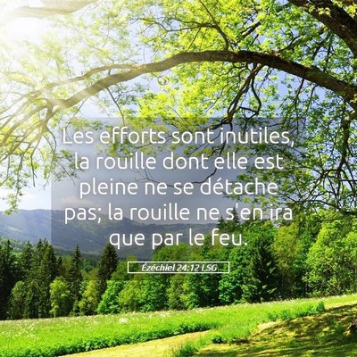 Picture 05 - Ézéchiel 24:12 LSG - Les efforts sont inutiles, la rouille dont elle - Bible Verse Picture
