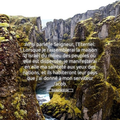 Picture 05 - Ézéchiel 28:25 LSG - Ainsi parle le Seigneur, l'Eternel: Lorsque je - Bible Verse Picture