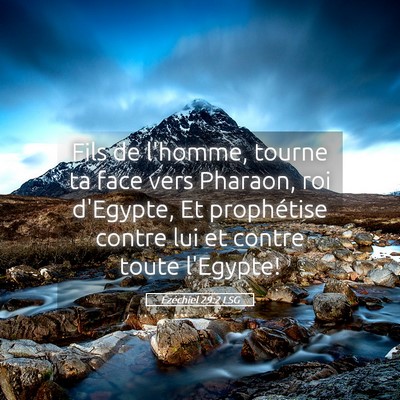 Picture 05 - Ézéchiel 29:2 LSG - Fils de l'homme, tourne ta face vers Pharaon, roi - Bible Verse Picture
