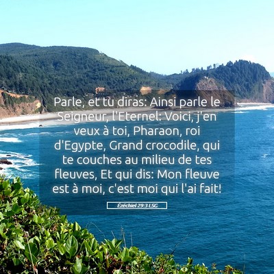 Picture 05 - Ézéchiel 29:3 LSG - Parle, et tu diras: Ainsi parle le Seigneur, - Bible Verse Picture