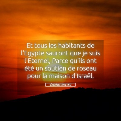 Picture 05 - Ézéchiel 29:6 LSG - Et tous les habitants de l'Egypte sauront que je - Bible Verse Picture