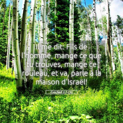 Picture 05 - Ézéchiel 3:1 LSG - Il me dit: Fils de l'homme, mange ce que tu - Bible Verse Picture