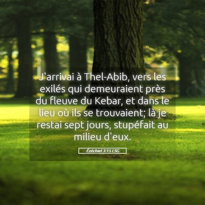 Picture 05 - Ézéchiel 3:15 LSG - J'arrivai à Thel-Abib, vers les exilés qui - Bible Verse Picture