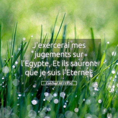 Picture 05 - Ézéchiel 30:19 LSG - J'exercerai mes jugements sur l'Egypte, Et ils - Bible Verse Picture