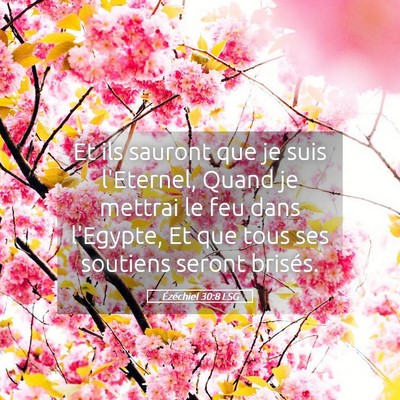 Picture 05 - Ézéchiel 30:8 LSG - Et ils sauront que je suis l'Eternel, Quand je - Bible Verse Picture