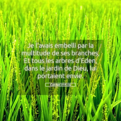 Picture 05 - Ézéchiel 31:9 LSG - Je l'avais embelli par la multitude de ses - Bible Verse Picture