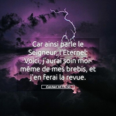 Picture 05 - Ézéchiel 34:11 LSG - Car ainsi parle le Seigneur, l'Eternel: Voici, - Bible Verse Picture
