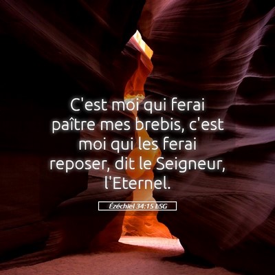 Picture 05 - Ézéchiel 34:15 LSG - C'est moi qui ferai paître mes brebis, c'est moi - Bible Verse Picture