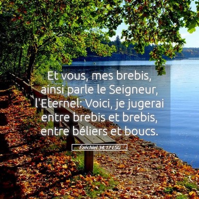 Picture 05 - Ézéchiel 34:17 LSG - Et vous, mes brebis, ainsi parle le Seigneur, - Bible Verse Picture