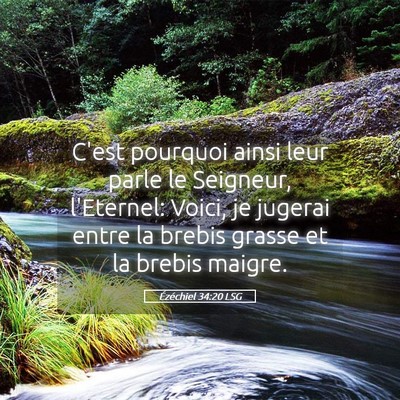 Picture 05 - Ézéchiel 34:20 LSG - C'est pourquoi ainsi leur parle le Seigneur, - Bible Verse Picture