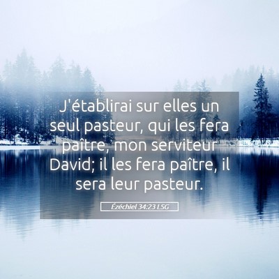 Picture 05 - Ézéchiel 34:23 LSG - J'établirai sur elles un seul pasteur, qui les - Bible Verse Picture