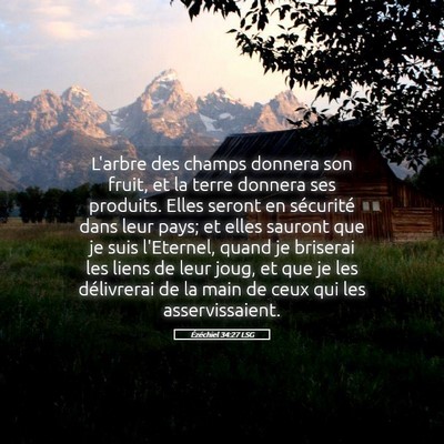 Picture 05 - Ézéchiel 34:27 LSG - L'arbre des champs donnera son fruit, et la terre - Bible Verse Picture