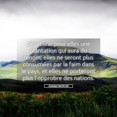 Picture 05 - Ézéchiel 34:29 LSG - J'établirai pour elles une plantation qui aura - Bible Verse Picture