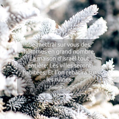 Picture 05 - Ézéchiel 36:10 LSG - Je mettrai sur vous des hommes en grand nombre, - Bible Verse Picture