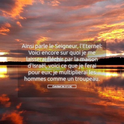 Picture 05 - Ézéchiel 36:37 LSG - Ainsi parle le Seigneur, l'Eternel: Voici encore - Bible Verse Picture