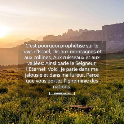 Picture 05 - Ézéchiel 36:6 LSG - C'est pourquoi prophétise sur le pays d'Israël, - Bible Verse Picture