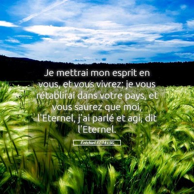Picture 05 - Ézéchiel 37:14 LSG - Je mettrai mon esprit en vous, et vous vivrez; je - Bible Verse Picture