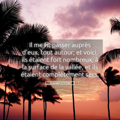 Picture 05 - Ézéchiel 37:2 LSG - Il me fit passer auprès d'eux, tout autour; et - Bible Verse Picture