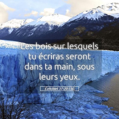 Picture 05 - Ézéchiel 37:20 LSG - Les bois sur lesquels tu écriras seront dans ta - Bible Verse Picture
