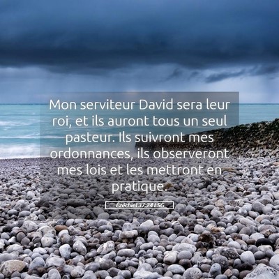 Picture 05 - Ézéchiel 37:24 LSG - Mon serviteur David sera leur roi, et ils auront - Bible Verse Picture