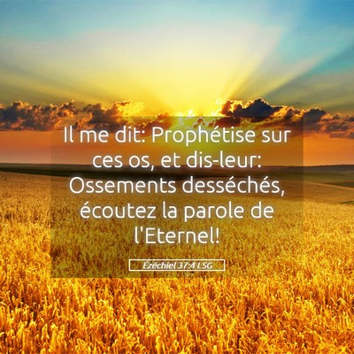 Picture 05 - Ézéchiel 37:4 LSG - Il me dit: Prophétise sur ces os, et dis-leur: - Bible Verse Picture